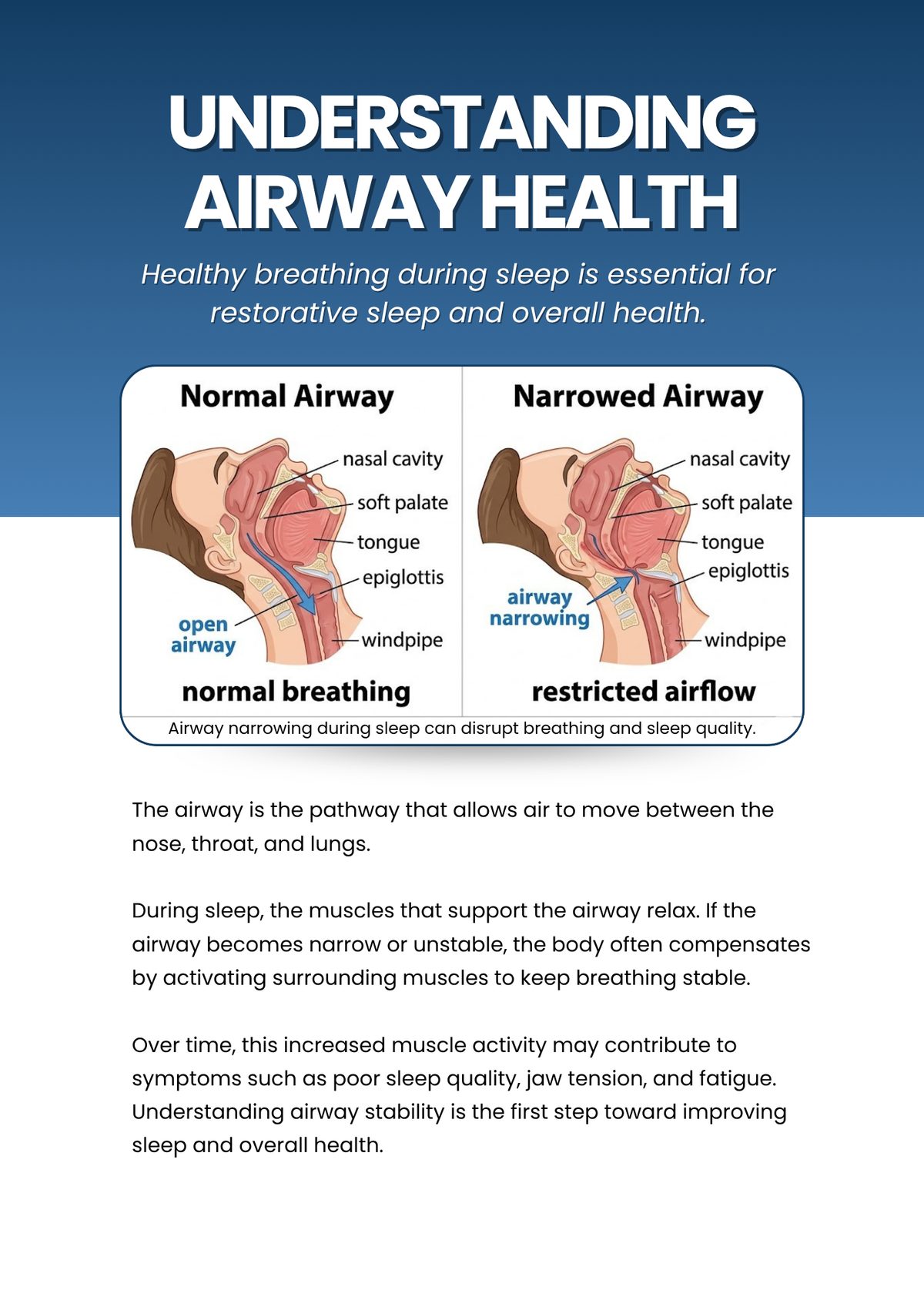 Side-by-side: normal airway with open airflow vs. narrowed airway with restricted flow