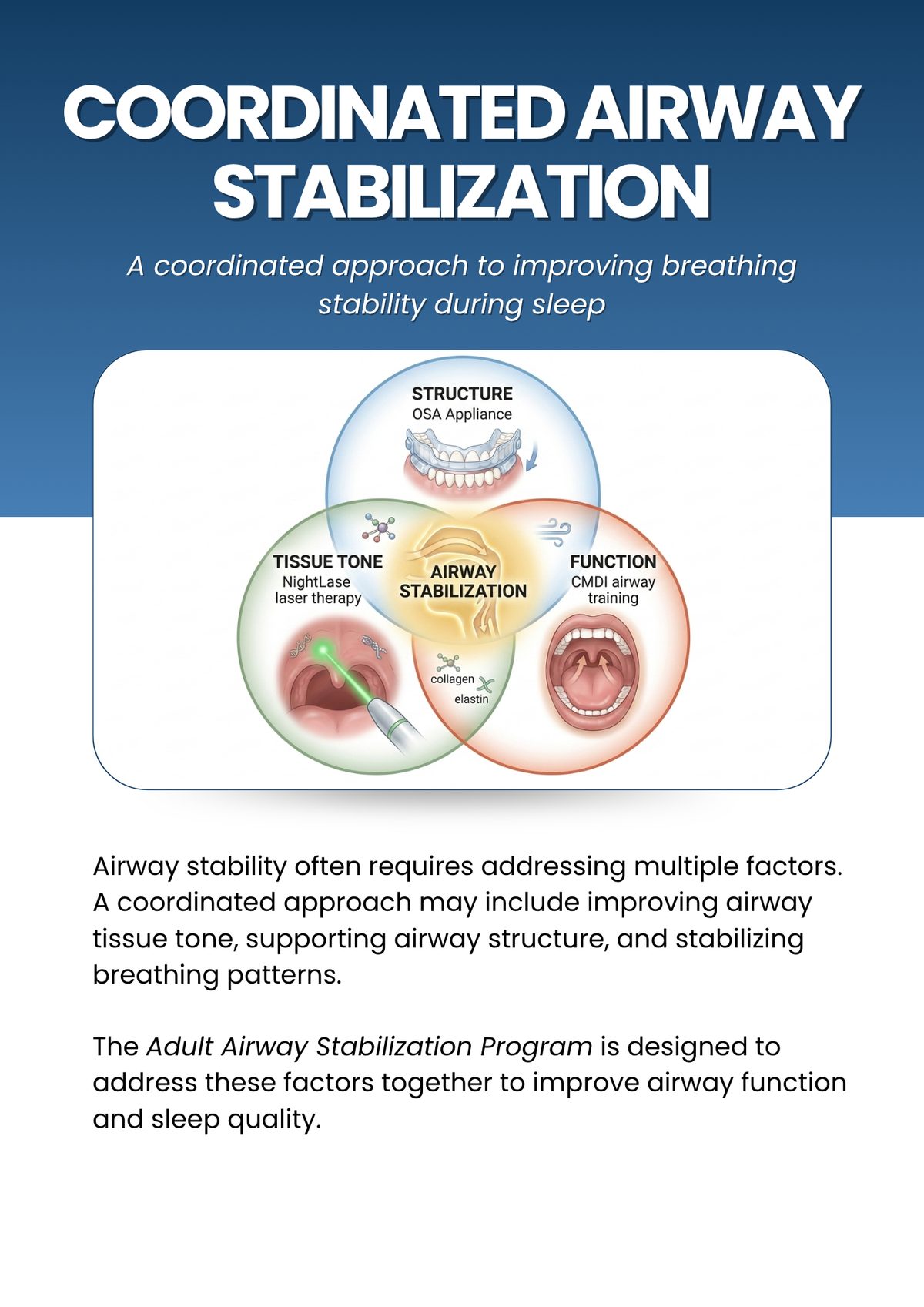 Coordinated airway stabilization: structure, tissue tone, and function