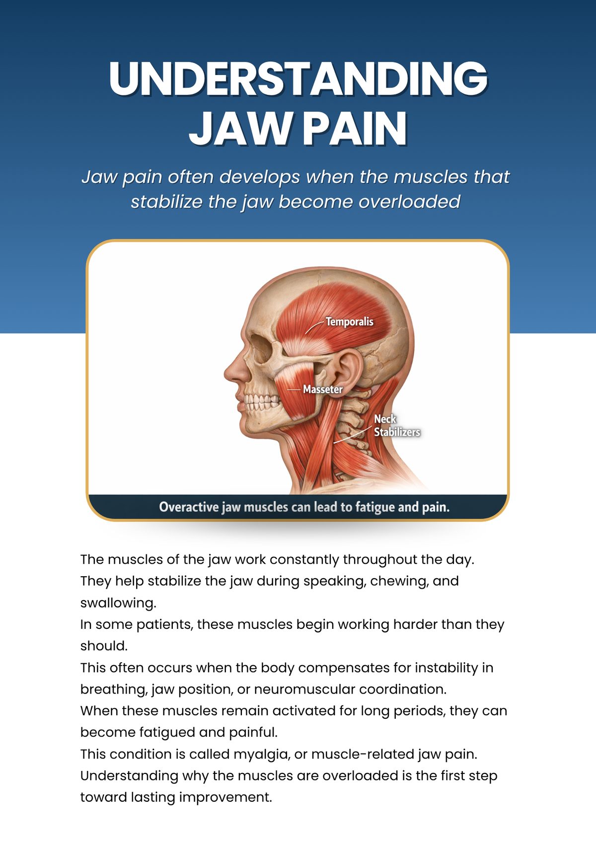 Side view of jaw and head anatomy: temporalis, masseter, and neck stabilizer muscles